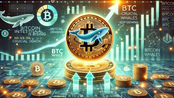 Bitcoin Institutional Demand Is Rising – Crucial Data Reveals BTC Bitcoin Institutional Demand Is Rising – Crucial Data Reveals BTC Whales Keep Growing