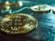 Bitcoin may hit $80K if crypto ‘animal spirits’ awaken, says Bitwise CIO