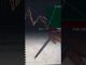 Crypto Trading Strategies for Beginners: Maximize Your Profits!  #bitcoin #trading #tradingstrategi