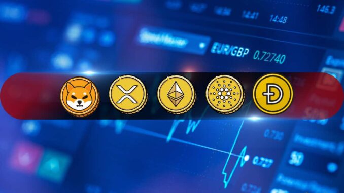 ETH, XRP, ADA, SHIB, and DOGE ETH, XRP, ADA, SHIB, and DOGE