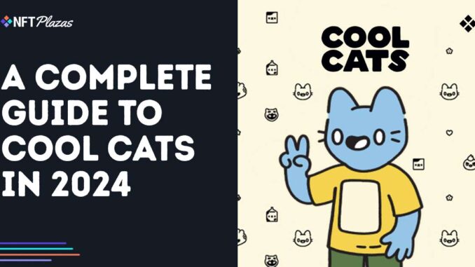 A Complete Guide to Cool Cats in 2024 A Complete Guide to Cool Cats in 2024