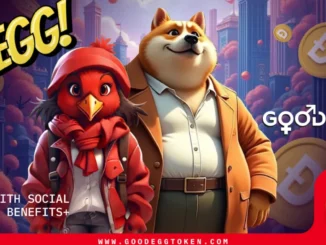 first-banner-ad