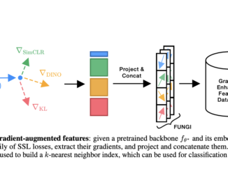 No Train, All Gain: Enhancing Deep Frozen Representations with Self-Supervised Gradients