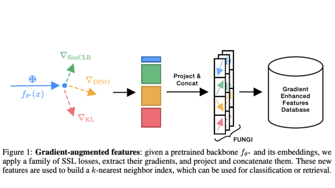 No Train, All Gain: Enhancing Deep Frozen Representations with Self-Supervised No Train, All Gain: Enhancing Deep Frozen Representations with Self-Supervised Gradients
