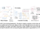 UniMTS: A Unified Pre-Training Procedure for Motion Time Series that Generalizes Across Diverse Device Latent Factors and Activities