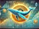 Bitcoin Whale Moves 72,000 BTC Aged 5-7 Years – Top Signal Or Altseason?