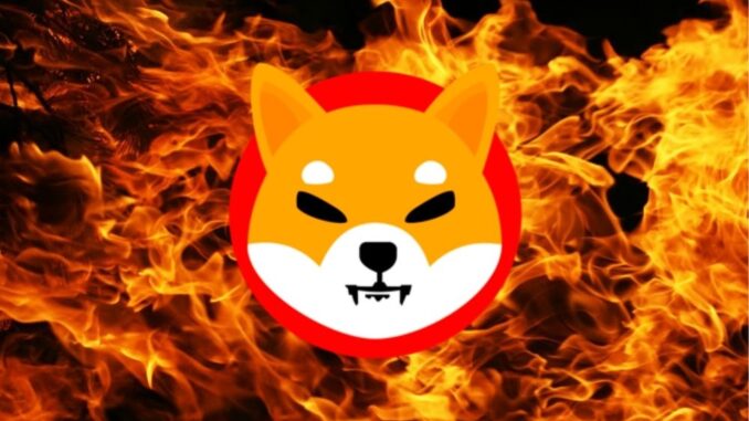 Shiba Inu Burn Rate Surges 42% On Christmas Day, Price Shiba Inu