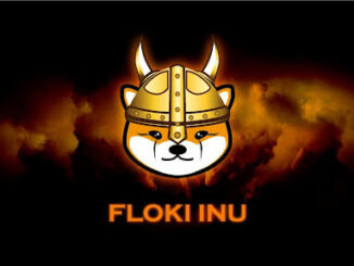University of Floki launched