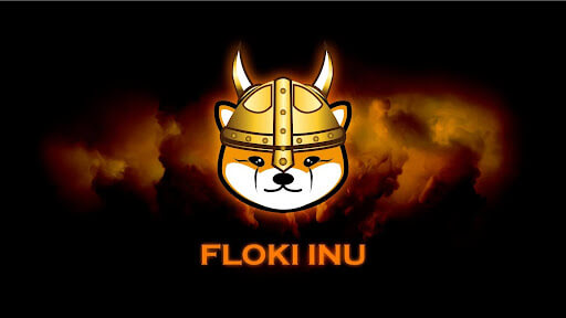 University of Floki launched - CoinJournal University of Floki launched