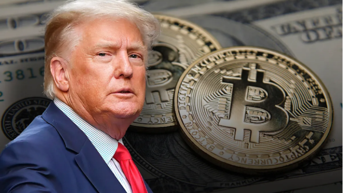 Bitwise CEO Anticipates Merger Boom Trump