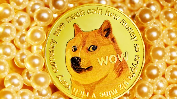 Dogecoin Million Dollar Transactions Soar After Trump Inauguration, Is A Dogecoin