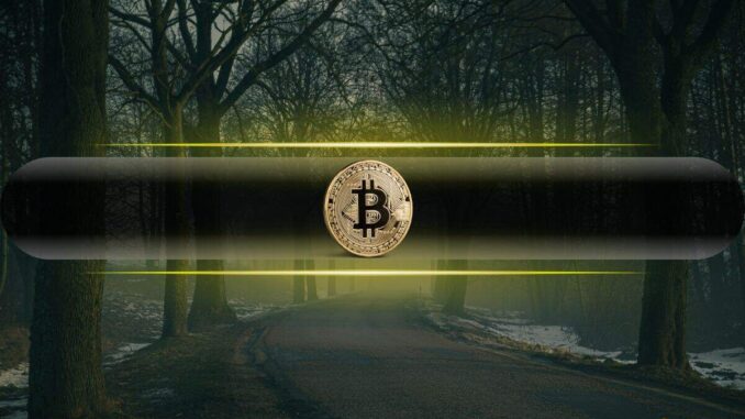 What Are Bitcoin’s Critics Really Afraid of? What Are Bitcoin’s Critics Really Afraid of?