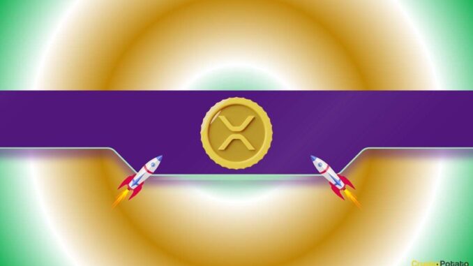 Are XRP and DOGE Preparing for 25% Price Moves? Are XRP and DOGE Preparing for 25% Price Moves?