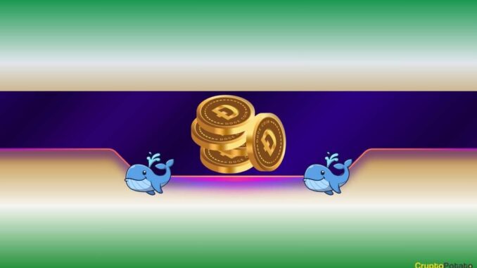 Dogecoin Whales Keep Buying but DOGE Price Keeps Dropping Dogecoin Whales Keep Buying but DOGE Price Keeps Dropping