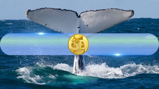 4 Bullish Indicators Suggest Dogecoin (DOGE) Is Ready to Rally