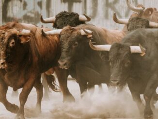 Crypto, Bitcoin Mining Stocks Spike Amid Historic Markets Rebound