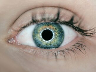 Human eye as the Fundamental AI Research (FAIR) team at Meta announces five projects advancing the company's pursuit of advanced machine intelligence (AMI) with significant boosts to enhancing perception abilities for use cases including robotics and agents.