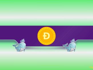 What Are Dogecoin Whales Preparing For?