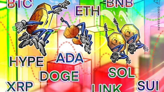 BTC, ETH, XRP, BNB, SOL, DOGE, ADA, HYPE, SUI, LINK