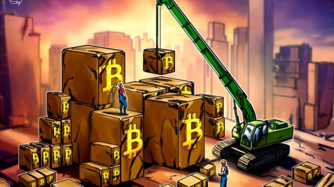 Animoca Brands Taps DDC Enterprise to manage Yield for BTC Treasury