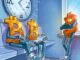 Crypto "waiting room" ahead of Market Top in Q1 2026: Raoul Pal