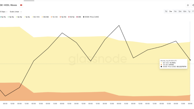 Dogecoin price and HODL waves