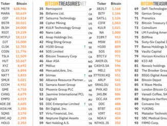 Public Bitcoin Treasury Companies