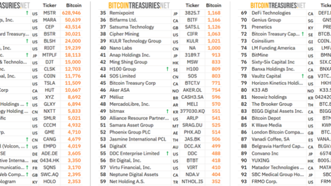 Public Bitcoin Treasury Companies