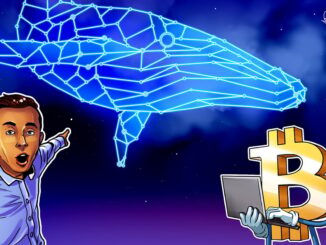 BTC Whales Turn Net Positive After Fastest Selloff In Years Ends