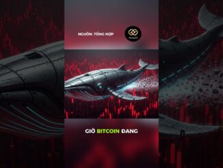 GameStop vừa xả 422 triệu đô Bitcoin? Cú 'cắt lỗ' đau đớn nhất lịch sử?