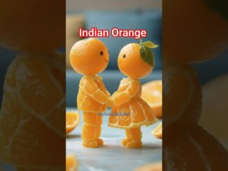 🇨🇮 Indian Orange 🧡🍊 #ai #aiorange #aishorts #shortsfeed #shorts #news