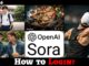 Sora AI Login Tutorial – Step-by-Step for Beginners