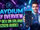 Raydium RAY Crypto Overview Top DEX on Solana [2026 Full Guide]