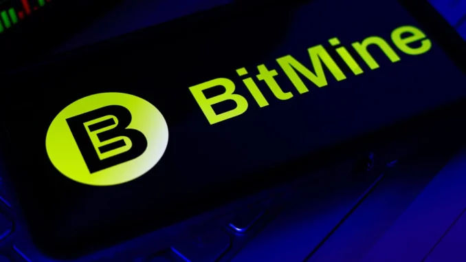 Bitmine Ethereum Holdings Reach 4.8% of Total ETH Supply