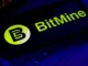 Bitmine Ethereum Holdings Reach 4.8% of Total ETH Supply