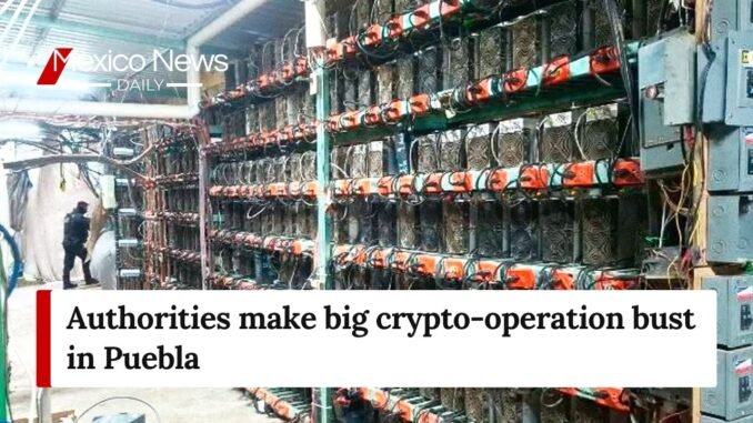 Authorities make big crypto-operation bust in Puebla