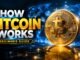 Bitcoin Explained for Beginners: What Is Bitcoin & How Does It Actually Work?
